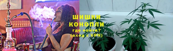 apvp Няндома