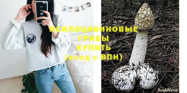 трава Новодвинск