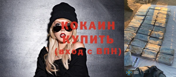 apvp Няндома