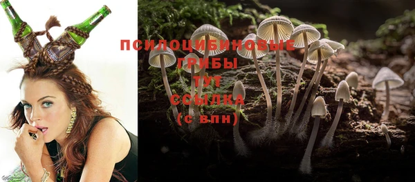 PSILOCYBIN Нягань
