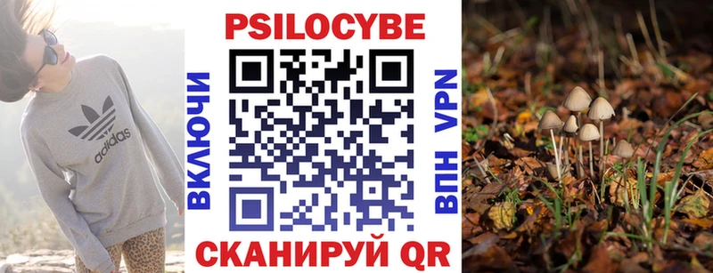 Псилоцибиновые грибы MAGIC MUSHROOMS  Электроугли 