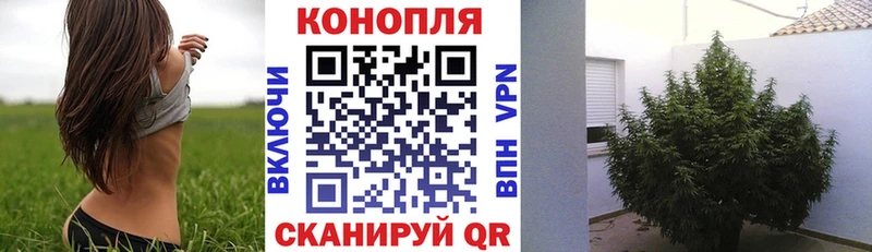 Канабис Bruce Banner Электроугли